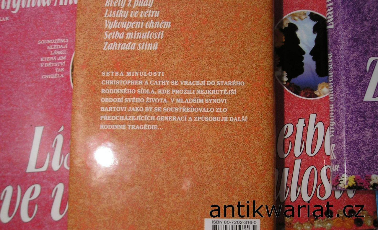1wa Image00003