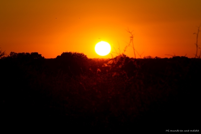 Kruger National Park: de Skukuza a Lower Sabie - SUDÁFRICA EN EL CORAZÓN (JULIO 2015) (23)