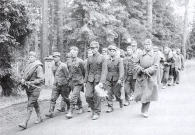 Prisioneros alemanes capturados durante la ofensiva de Sinyavino. Agosto de 1942