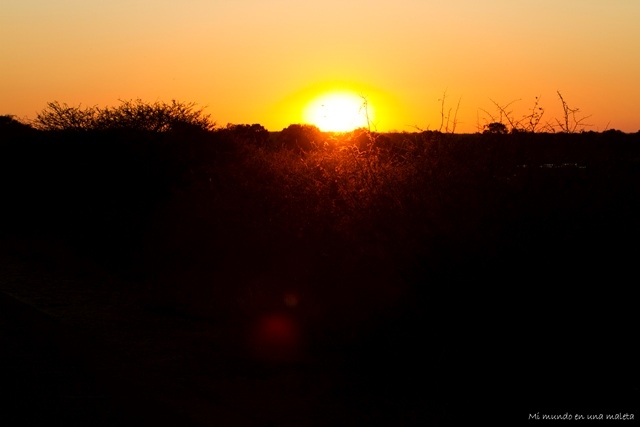 Kruger National Park: de Skukuza a Lower Sabie - SUDÁFRICA EN EL CORAZÓN (JULIO 2015) (22)