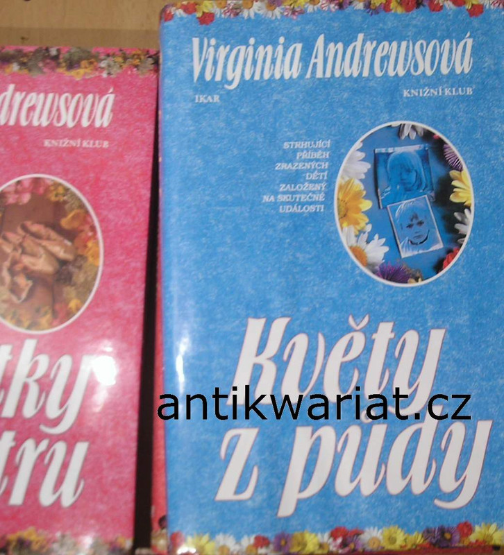 1wa Image00005