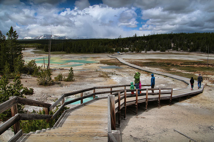 DIA 16: Yellowstone - 18 días por la Costa Oeste de Estados Unidos: un sueño hecho realidad (16)