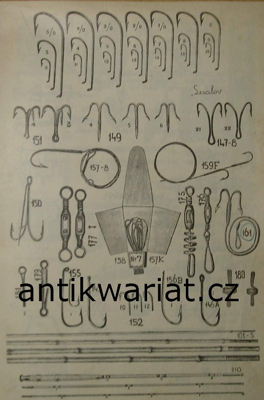 1wa Image00181