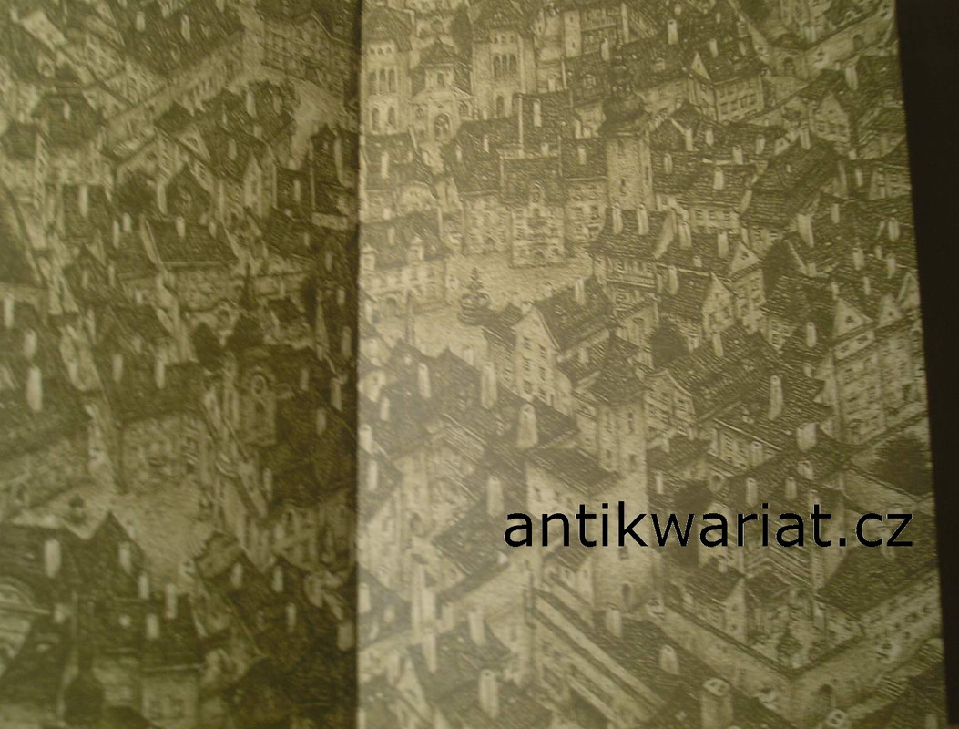 1wa Image00023