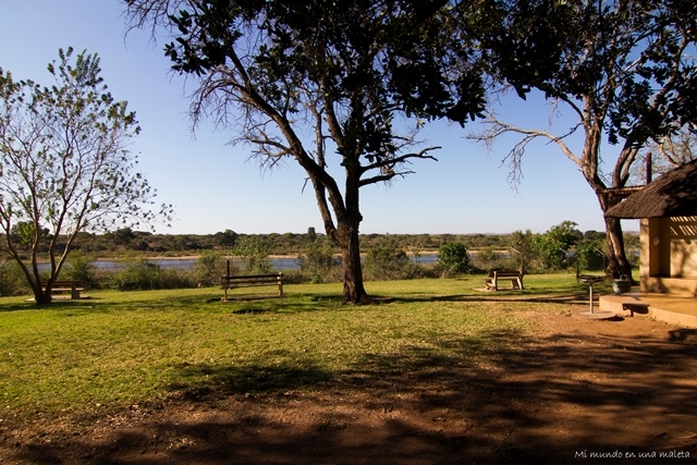 Kruger National Park: de Skukuza a Lower Sabie - SUDÁFRICA EN EL CORAZÓN (JULIO 2015) (12)