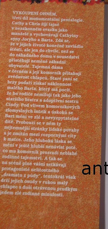 1wa Image00002