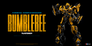 3a-TLK-Bumblebee-005