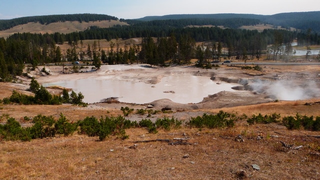 Día 15: Yellowstone IV: Y. Lake + Mud Volcano + Y. Canyon + Mammoth Hot H. - Las maravillas del Noroeste de los Estados Unidos (15)