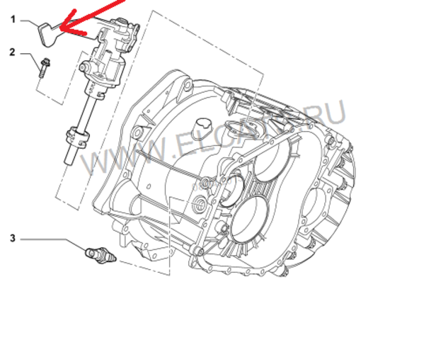 Ремонт КПП М38 у Fiat Ducato: основные проблемы и способы их решения