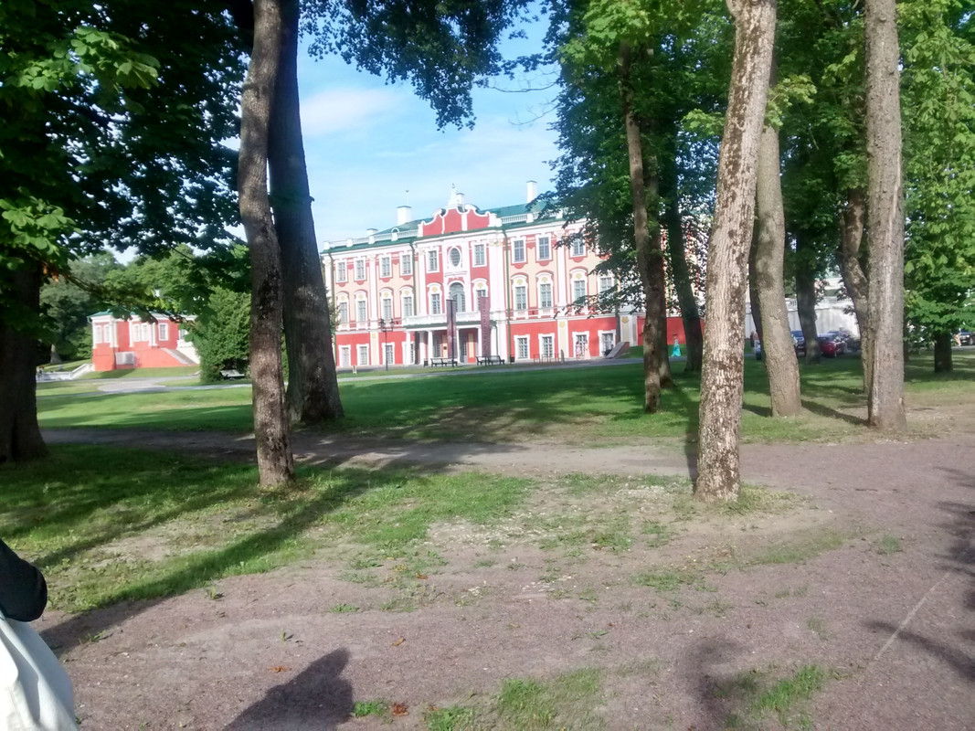 Riga-Tallin-San Petersburgo-Moscu-Riga en julio/agosto 2016 - Blogs de Rusia y Ex URSS - Tallin 29.07.2016 (14)
