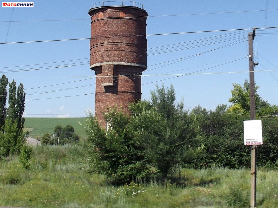 Сагуны воронежская область карта