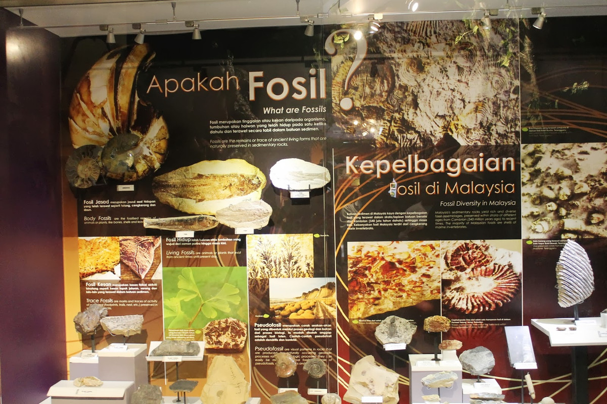 Sejarah Dan Kisah Muzium Geologi Di Ipoh Perak