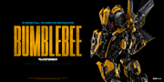 3a-TLK-Bumblebee-006