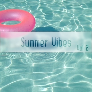 summer vibes vol 2 (2017) mp3 320 kbps