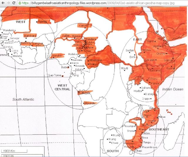 https://s12.postimg.cc/iz1jv214t/L2a1-_Haplogroup-_Mt_DNA-map.jpg
