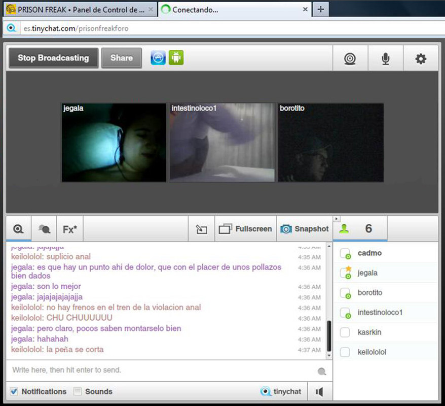 tinychat_pf_12_05_2012_k.jpg