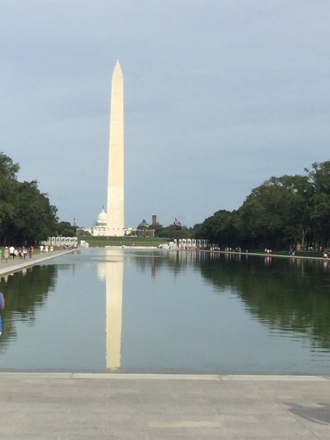 Washington DC: visita general - 2170 km por el Este de los USA (24)