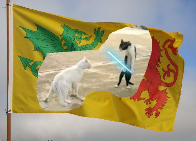F_SW.jpg